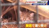 「経営難の動物園から脱却を… 希少動物を無償で呼び込む“秘訣” 物価高などでいまだ半分が未公開エリア 三重･多気町の｢ごかつら池どうぶつパーク｣」の画像10