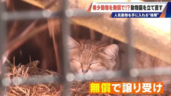 「経営難の動物園から脱却を… 希少動物を無償で呼び込む“秘訣” 物価高などでいまだ半分が未公開エリア 三重･多気町の｢ごかつら池どうぶつパーク｣」の画像