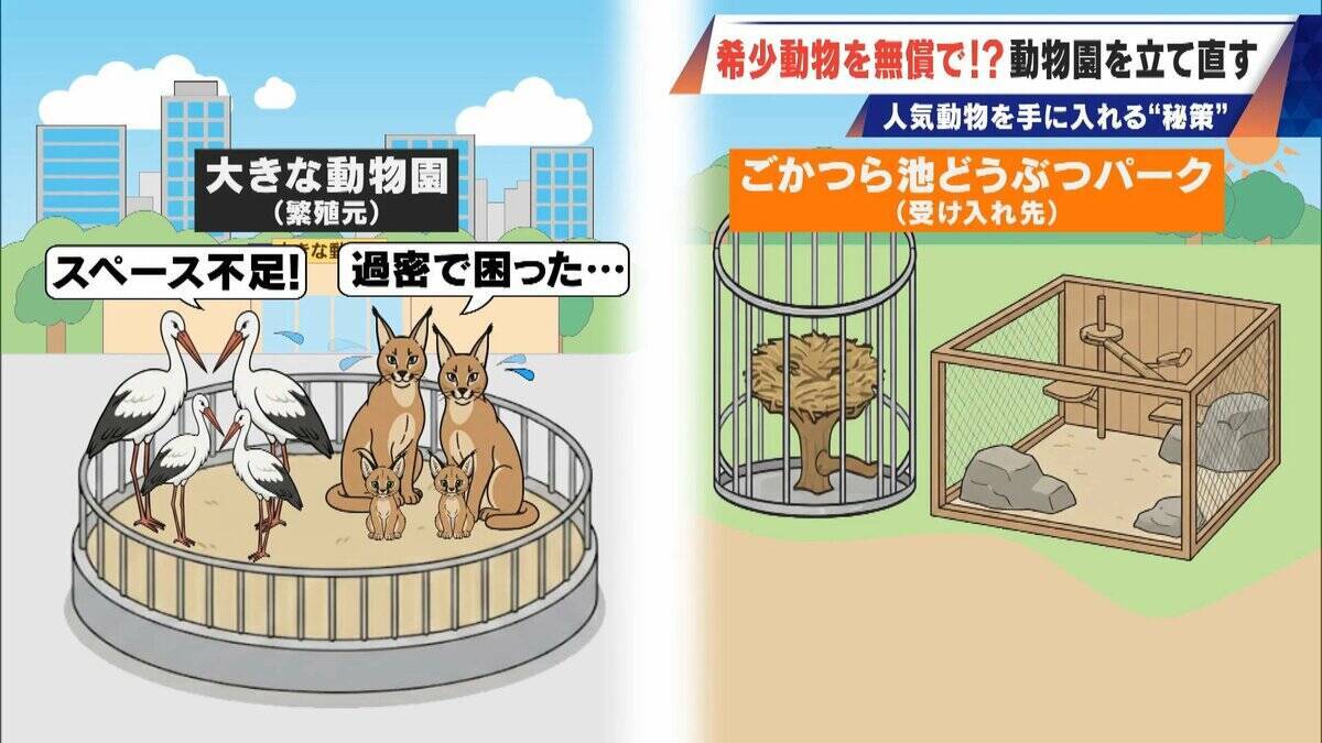 経営難の動物園から脱却を… 希少動物を無償で呼び込む“秘訣” 物価高などでいまだ半分が未公開エリア 三重･多気町の｢ごかつら池どうぶつパーク｣