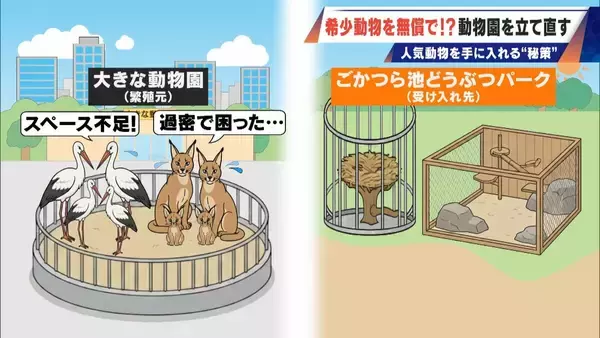 「経営難の動物園から脱却を… 希少動物を無償で呼び込む“秘訣” 物価高などでいまだ半分が未公開エリア 三重･多気町の｢ごかつら池どうぶつパーク｣」の画像
