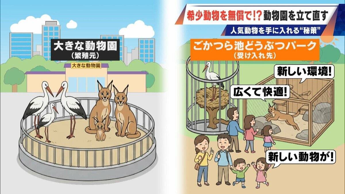 経営難の動物園から脱却を… 希少動物を無償で呼び込む“秘訣” 物価高などでいまだ半分が未公開エリア 三重･多気町の｢ごかつら池どうぶつパーク｣