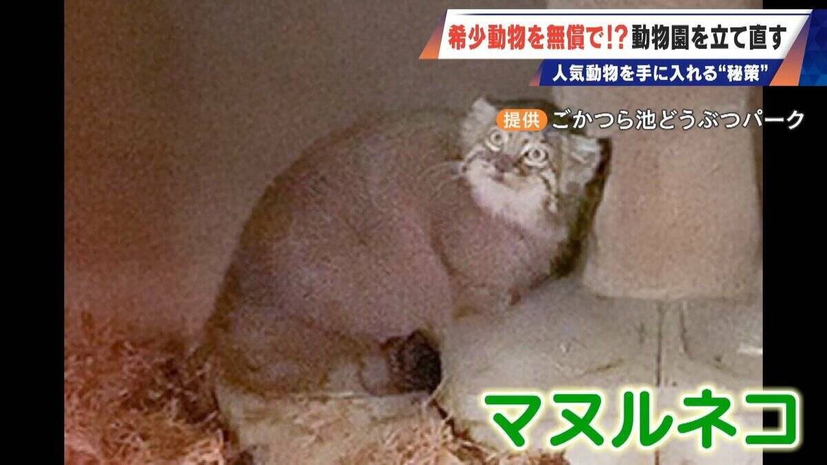 経営難の動物園から脱却を… 希少動物を無償で呼び込む“秘訣” 物価高などでいまだ半分が未公開エリア 三重･多気町の｢ごかつら池どうぶつパーク｣