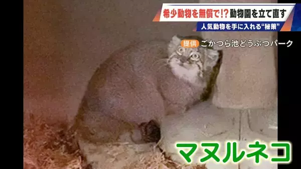 「経営難の動物園から脱却を… 希少動物を無償で呼び込む“秘訣” 物価高などでいまだ半分が未公開エリア 三重･多気町の｢ごかつら池どうぶつパーク｣」の画像