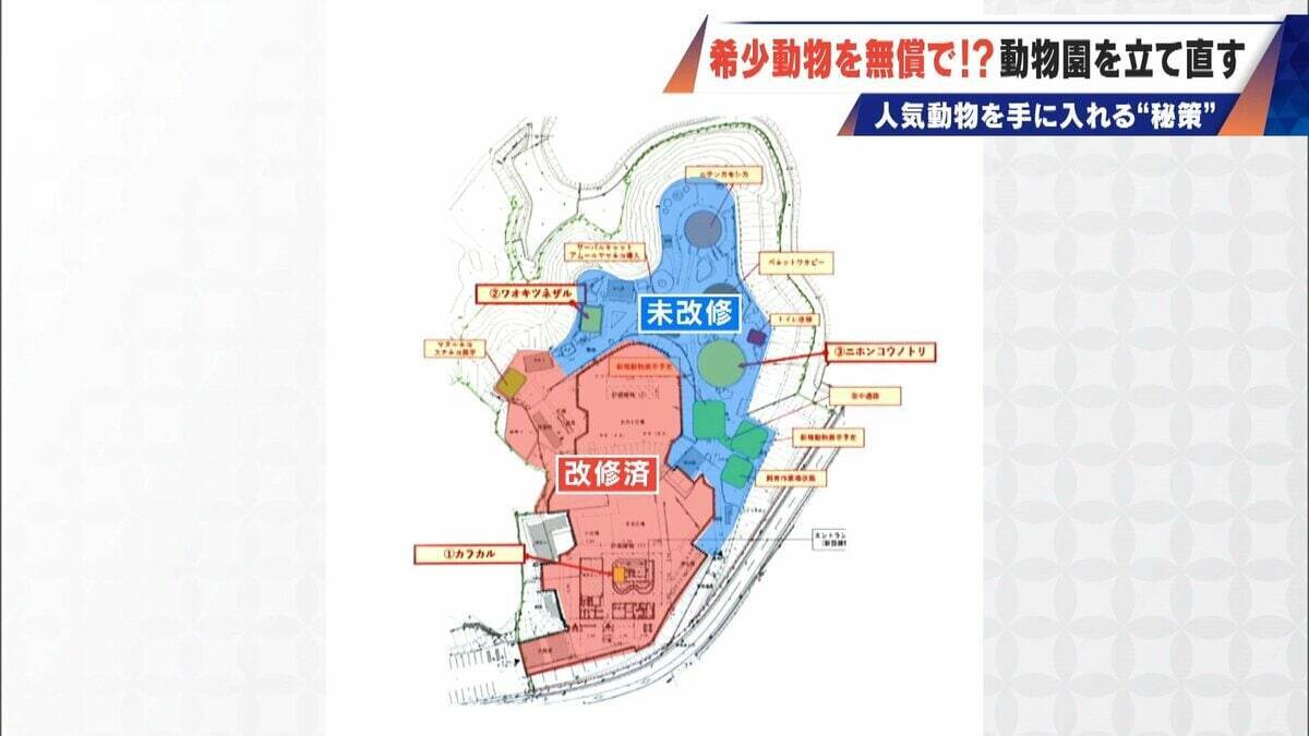経営難の動物園から脱却を… 希少動物を無償で呼び込む“秘訣” 物価高などでいまだ半分が未公開エリア 三重･多気町の｢ごかつら池どうぶつパーク｣