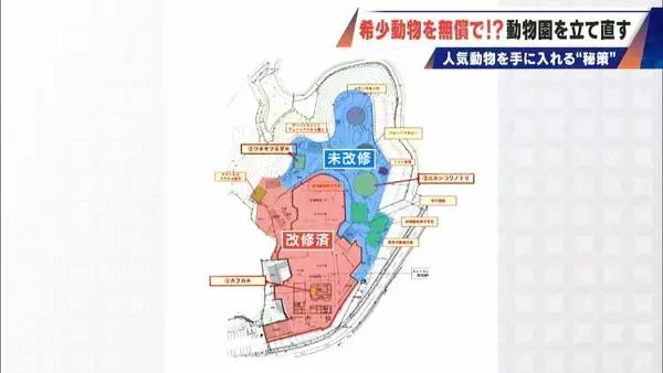 「経営難の動物園から脱却を… 希少動物を無償で呼び込む“秘訣” 物価高などでいまだ半分が未公開エリア 三重･多気町の｢ごかつら池どうぶつパーク｣」の画像