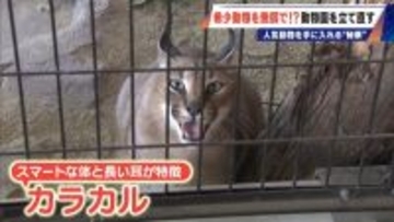 経営難の動物園から脱却を… 希少動物を無償で呼び込む“秘訣” 物価高などでいまだ半分が未公開エリア 三重･多気町の｢ごかつら池どうぶつパーク｣