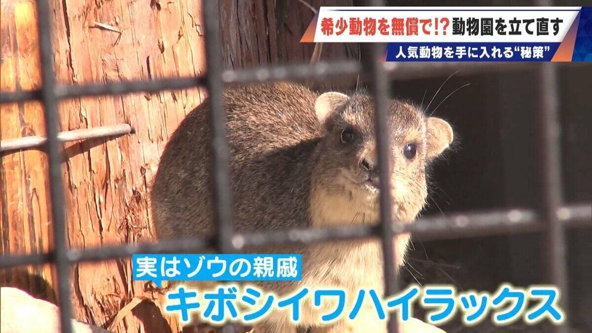 経営難の動物園から脱却を… 希少動物を無償で呼び込む“秘訣” 物価高などでいまだ半分が未公開エリア 三重･多気町の｢ごかつら池どうぶつパーク｣