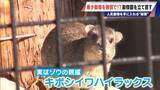 「経営難の動物園から脱却を… 希少動物を無償で呼び込む“秘訣” 物価高などでいまだ半分が未公開エリア 三重･多気町の｢ごかつら池どうぶつパーク｣」の画像2