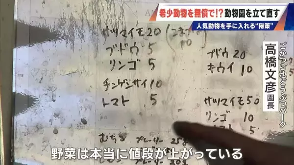 「経営難の動物園から脱却を… 希少動物を無償で呼び込む“秘訣” 物価高などでいまだ半分が未公開エリア 三重･多気町の｢ごかつら池どうぶつパーク｣」の画像