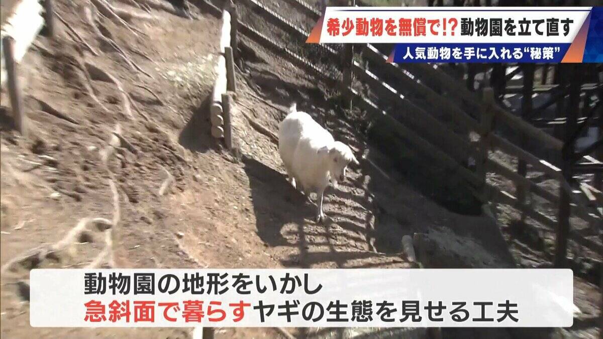 経営難の動物園から脱却を… 希少動物を無償で呼び込む“秘訣” 物価高などでいまだ半分が未公開エリア 三重･多気町の｢ごかつら池どうぶつパーク｣