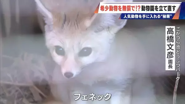 「経営難の動物園から脱却を… 希少動物を無償で呼び込む“秘訣” 物価高などでいまだ半分が未公開エリア 三重･多気町の｢ごかつら池どうぶつパーク｣」の画像