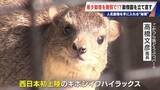 「経営難の動物園から脱却を… 希少動物を無償で呼び込む“秘訣” 物価高などでいまだ半分が未公開エリア 三重･多気町の｢ごかつら池どうぶつパーク｣」の画像6