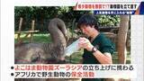 「経営難の動物園から脱却を… 希少動物を無償で呼び込む“秘訣” 物価高などでいまだ半分が未公開エリア 三重･多気町の｢ごかつら池どうぶつパーク｣」の画像7