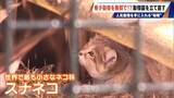 「経営難の動物園から脱却を… 希少動物を無償で呼び込む“秘訣” 物価高などでいまだ半分が未公開エリア 三重･多気町の｢ごかつら池どうぶつパーク｣」の画像9