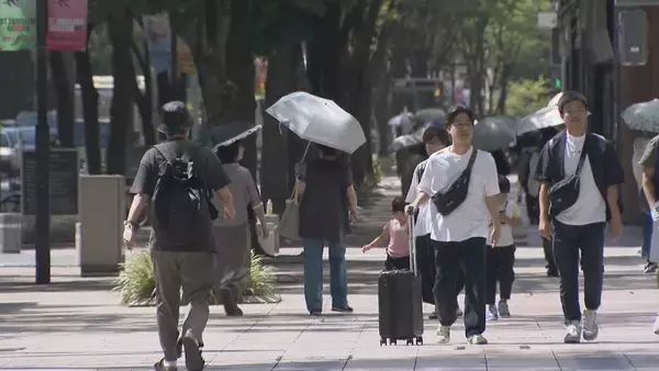 【実験してみた】日傘やファン付きベストで表面温度はどれだけ下がる？濡れタオルでも効果あり!?