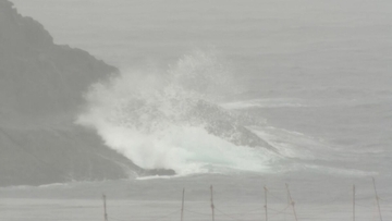 “ダブル台風” 東海地方は27日に最接近 三重県では避難所を開設した自治体も 収穫間近のブドウ園では枝を固定して対策