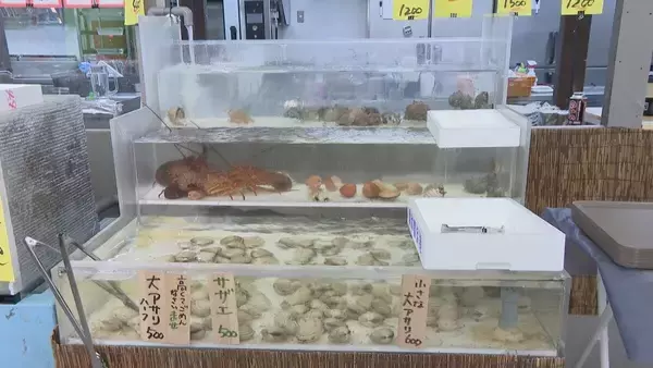 「早くも名古屋で｢ビアガーデン｣オープン！ 市場直送の魚介やお値打ちな“未利用魚”を提供 ｢生きた魚が泳いでいて、新鮮｣ 名古屋･中村区 柳橋中央市場」の画像