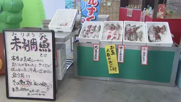 「早くも名古屋で｢ビアガーデン｣オープン！ 市場直送の魚介やお値打ちな“未利用魚”を提供 ｢生きた魚が泳いでいて、新鮮｣ 名古屋･中村区 柳橋中央市場」の画像