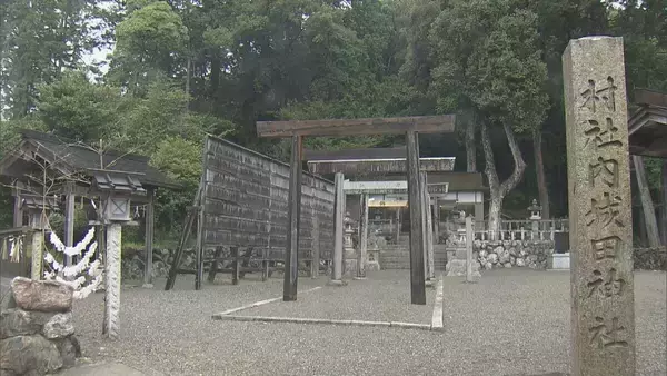 「香り高く2度目以降の抽出でもおいしい｢伊勢茶｣ 新茶シーズン前に“新茶祈願祭” 少雨でも良い出来に 三重･度会町」の画像