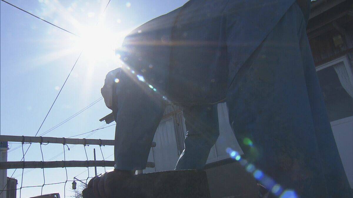 英虞湾で真珠を取り出す“浜揚げ作業”最盛期 アコヤガイの身をミキサーに…作業繰り返すと5ミリほどの真珠 今シーズンは｢層は薄いものの形はよい｣ 三重・志摩市