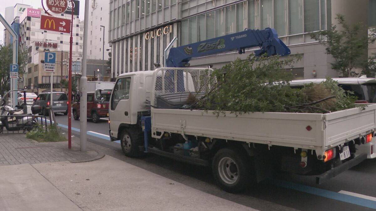 名古屋・栄で街路樹が根元から傾いて倒れる 高さ4～5メートルの桜の木  けが人は確認されず 名古屋市内では4日風が強まる