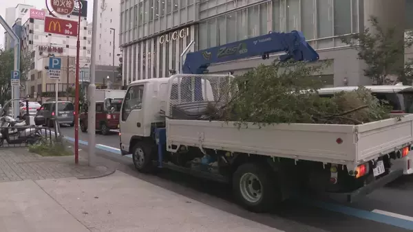 「名古屋・栄で街路樹が根元から傾いて倒れる 高さ4～5メートルの桜の木  けが人は確認されず 名古屋市内では4日風が強まる」の画像