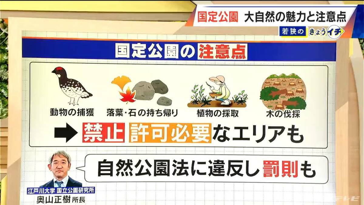落ち葉や石を持って帰ると…“自然公園法”に違反のおそれ 罰則も？ 国定公園での注意点 御嶽山も4月から指定