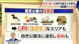 「落ち葉や石を持って帰ると…“自然公園法”に違反のおそれ 罰則も？ 国定公園での注意点 御嶽山も4月から指定」の画像3