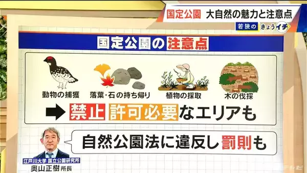 「落ち葉や石を持って帰ると…“自然公園法”に違反のおそれ 罰則も？ 国定公園での注意点 御嶽山も4月から指定」の画像