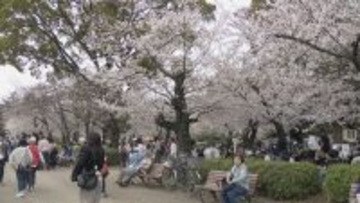 名古屋で桜満開 ｢さくら名所100選｣昭和区の鶴舞公園も花見客で賑わう 物価高の波は花見にも？