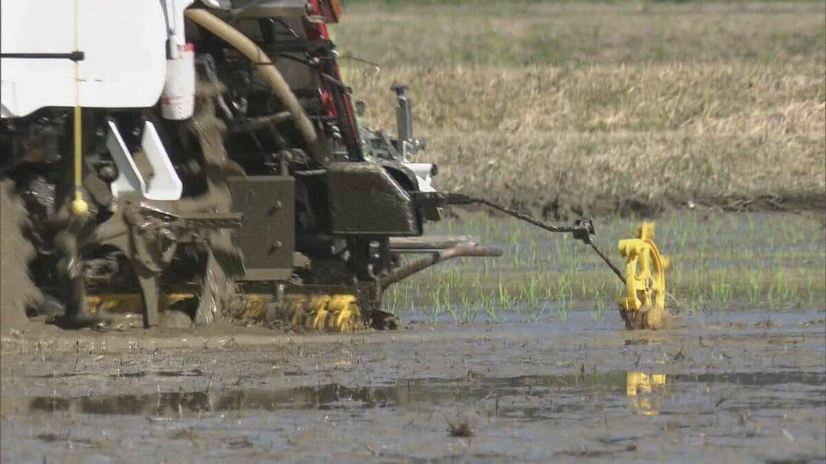愛知･大村知事｢正直いかがなものかと｣ 農家の“田植え時期変更難しい”の声に… 豊川用水の貯水率アップも延期要請は継続方針