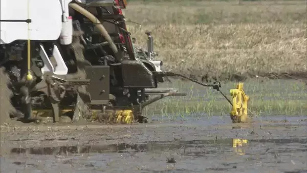 「愛知･大村知事｢正直いかがなものかと｣ 農家の“田植え時期変更難しい”の声に… 豊川用水の貯水率アップも延期要請は継続方針」の画像