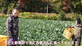「人生激変！大手企業から農家に転身した“脱サラ夫婦” 大きな一軒家も購入し… ｢何も後悔はしていないです｣ 年収は半分以下でも家族と充実ライフ」の画像10