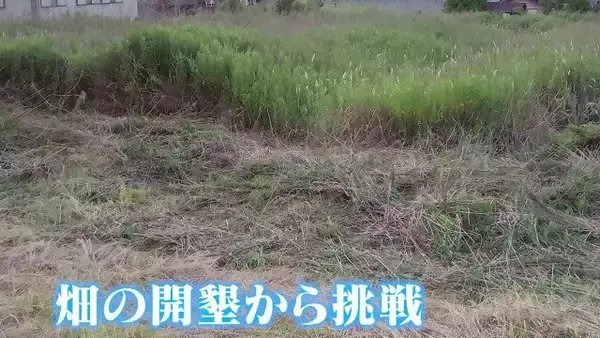 「人生激変！大手企業から農家に転身した“脱サラ夫婦” 大きな一軒家も購入し… ｢何も後悔はしていないです｣ 年収は半分以下でも家族と充実ライフ」の画像