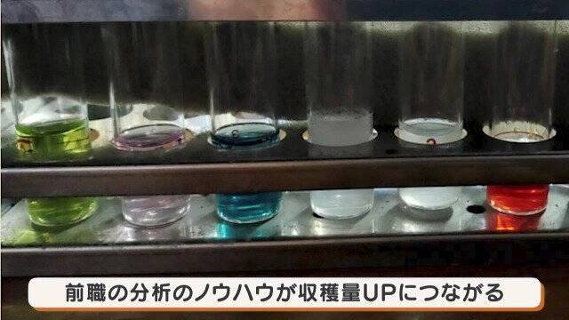 人生激変！大手企業から農家に転身した“脱サラ夫婦” 大きな一軒家も購入し… ｢何も後悔はしていないです｣ 年収は半分以下でも家族と充実ライフ