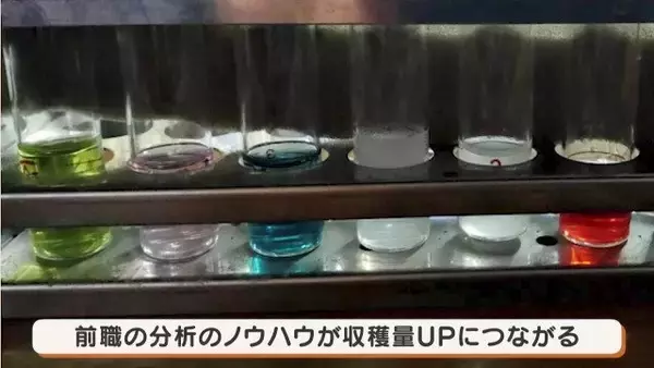 「人生激変！大手企業から農家に転身した“脱サラ夫婦” 大きな一軒家も購入し… ｢何も後悔はしていないです｣ 年収は半分以下でも家族と充実ライフ」の画像