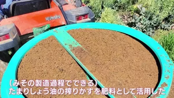 「人生激変！大手企業から農家に転身した“脱サラ夫婦” 大きな一軒家も購入し… ｢何も後悔はしていないです｣ 年収は半分以下でも家族と充実ライフ」の画像