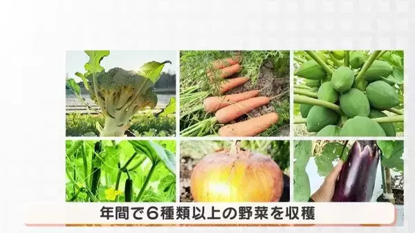 「人生激変！大手企業から農家に転身した“脱サラ夫婦” 大きな一軒家も購入し… ｢何も後悔はしていないです｣ 年収は半分以下でも家族と充実ライフ」の画像