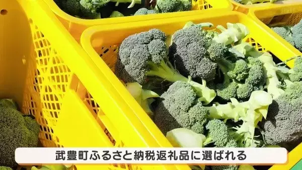 「人生激変！大手企業から農家に転身した“脱サラ夫婦” 大きな一軒家も購入し… ｢何も後悔はしていないです｣ 年収は半分以下でも家族と充実ライフ」の画像