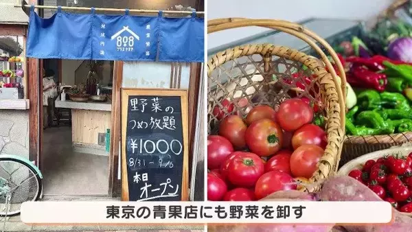 「人生激変！大手企業から農家に転身した“脱サラ夫婦” 大きな一軒家も購入し… ｢何も後悔はしていないです｣ 年収は半分以下でも家族と充実ライフ」の画像