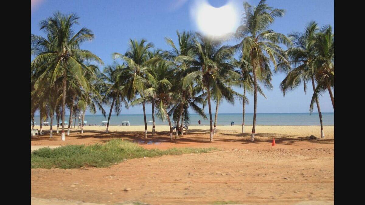 ベネズエラへの軍事行動 専門家は｢国際法違反の可能性｣を指摘 日本に住むベネズエラ人は…｢友人の80％が国外に出てしまった｣