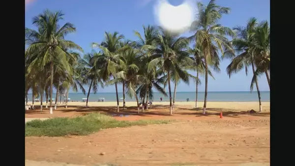 「ベネズエラへの軍事行動 専門家は｢国際法違反の可能性｣を指摘 日本に住むベネズエラ人は…｢友人の80％が国外に出てしまった｣」の画像