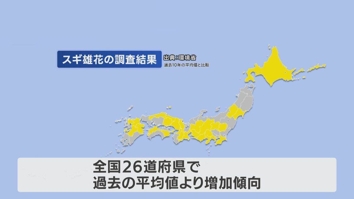 【花粉】東海は平年比の約1.3倍予想 ｢間もなく飛び始めますね、これ…｣  花粉を飛ばす“雄花”は黄色く大きくなっていた