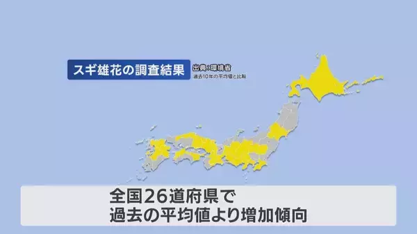 「【花粉】東海は平年比の約1.3倍予想 ｢間もなく飛び始めますね、これ…｣  花粉を飛ばす“雄花”は黄色く大きくなっていた」の画像