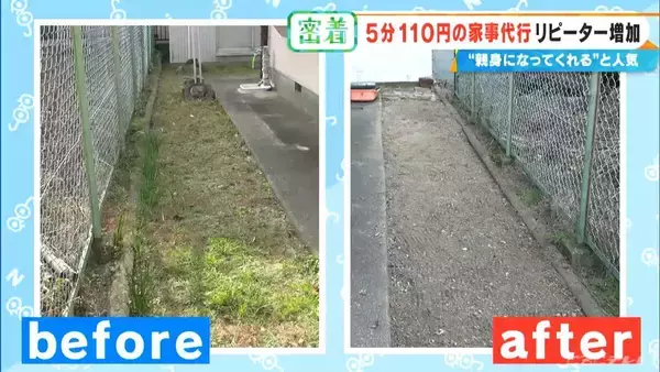 「｢110円でゴミ出し｣ もOK？ “破格”の家事代行サービス 利用者が急増中…お墓参りは買い出し～清掃まで合わせて1万円」の画像