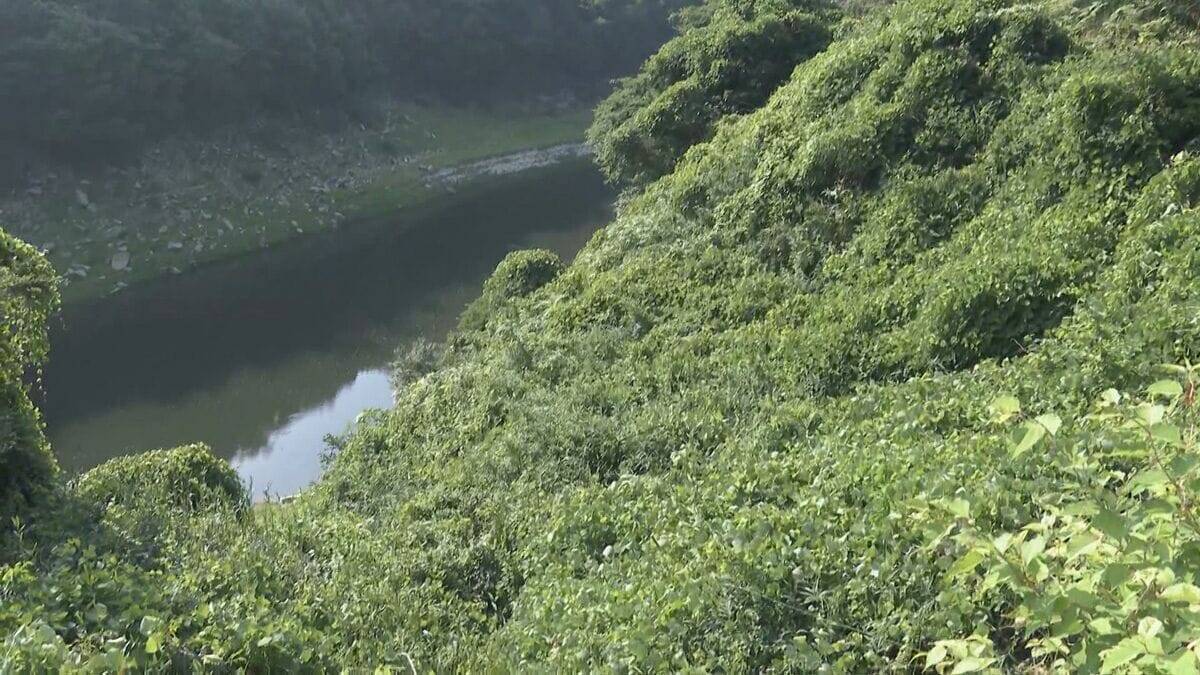 奈良市の川岸で女性2人の遺体 1人の身元は三重・伊賀市の44歳の女性と判明 もう1人は女性の20歳の娘か 逮捕の37歳男「遺棄した」「ひとりで車で運んだ」などと供述