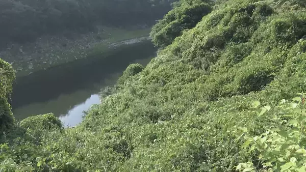 「奈良市の川岸で女性2人の遺体 1人の身元は三重・伊賀市の44歳の女性と判明 もう1人は女性の20歳の娘か 逮捕の37歳男「遺棄した」「ひとりで車で運んだ」などと供述」の画像