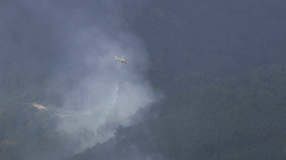 【速報】三重･津市で山林火災 延焼中 激しく燃える様子も… ｢山から煙が上がっている｣と通報 美杉町下之川の山林