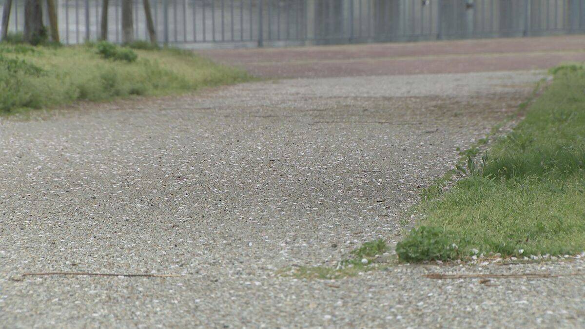 警察から逃走していた男子中学生の自転車が市営バスと衝突…計３人が軽傷　名古屋・中村区