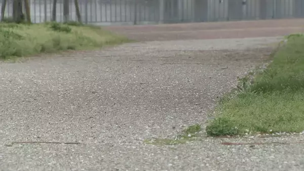 「警察から逃走していた男子中学生の自転車が市営バスと衝突…計３人が軽傷　名古屋・中村区」の画像